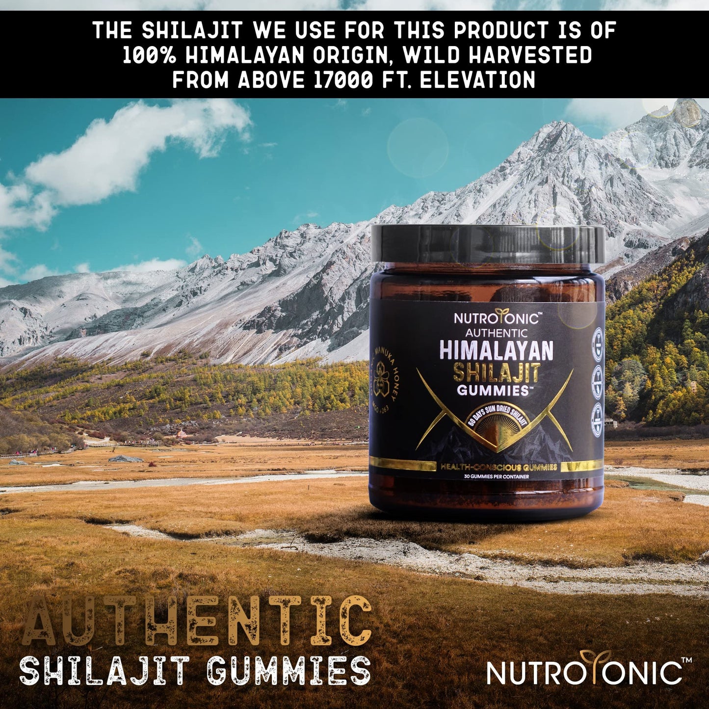 Authentic Shilajit Gummies