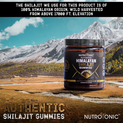 Authentic Shilajit Gummies