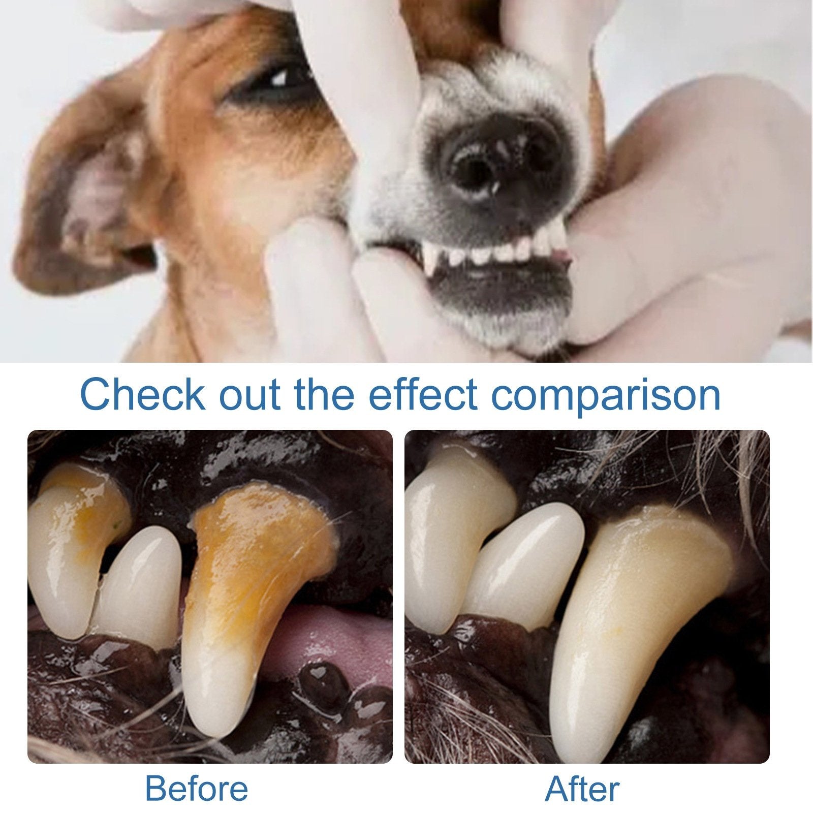 🏆Flash Sale#🔥Pet Tartar Remover Foam – Fresh Breath & Healthy Teeth, No Brushing Needed -8RH7