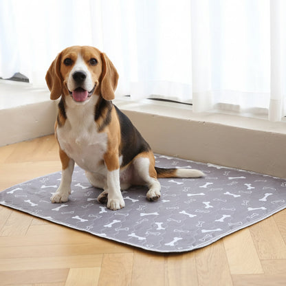 🔥Hot Sale 50% OFF🔥 Pet Training Pads
