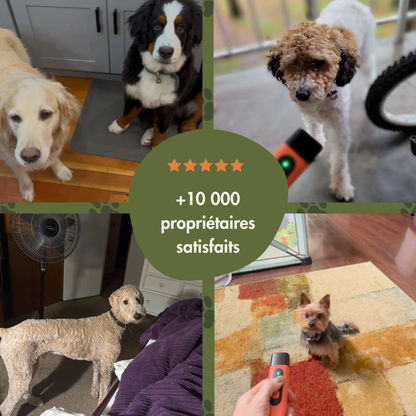 🔥Hot sale 49% off🔥 Ultrasonic anti-barking device – Gently stop barking with a single press