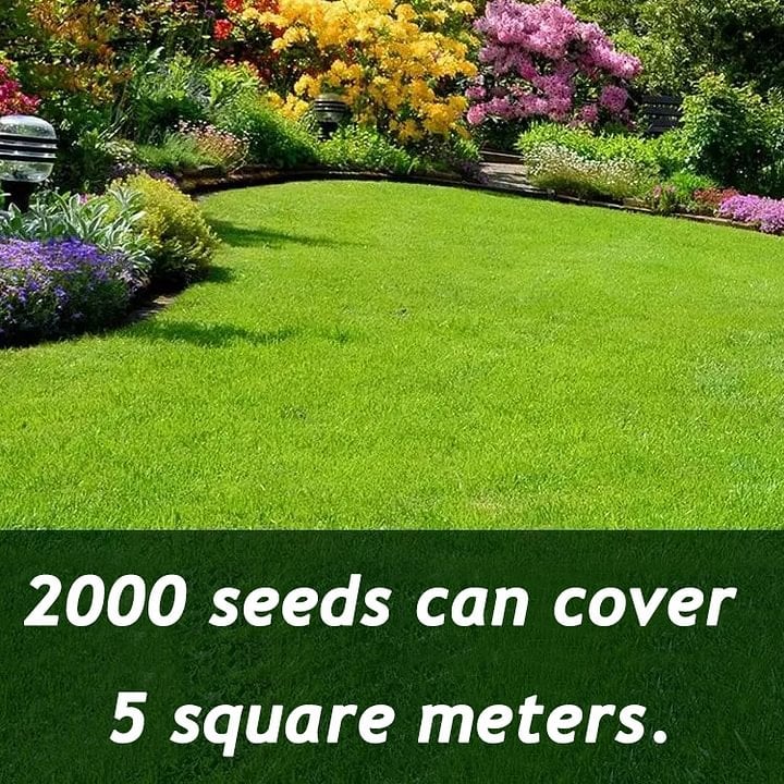 🔥Hot sale 49% off🔥 🌱 2026 Four Seasons Evergreen Grass | Durable, Vibrant Green All Year