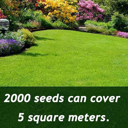 🔥Hot sale 49% off🔥 🌱 2026 Four Seasons Evergreen Grass | Durable, Vibrant Green All Year