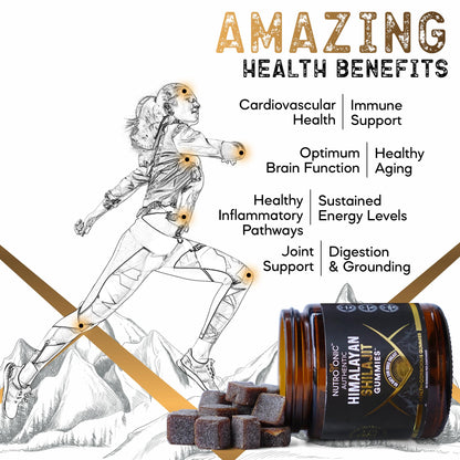 Authentic Shilajit Gummies