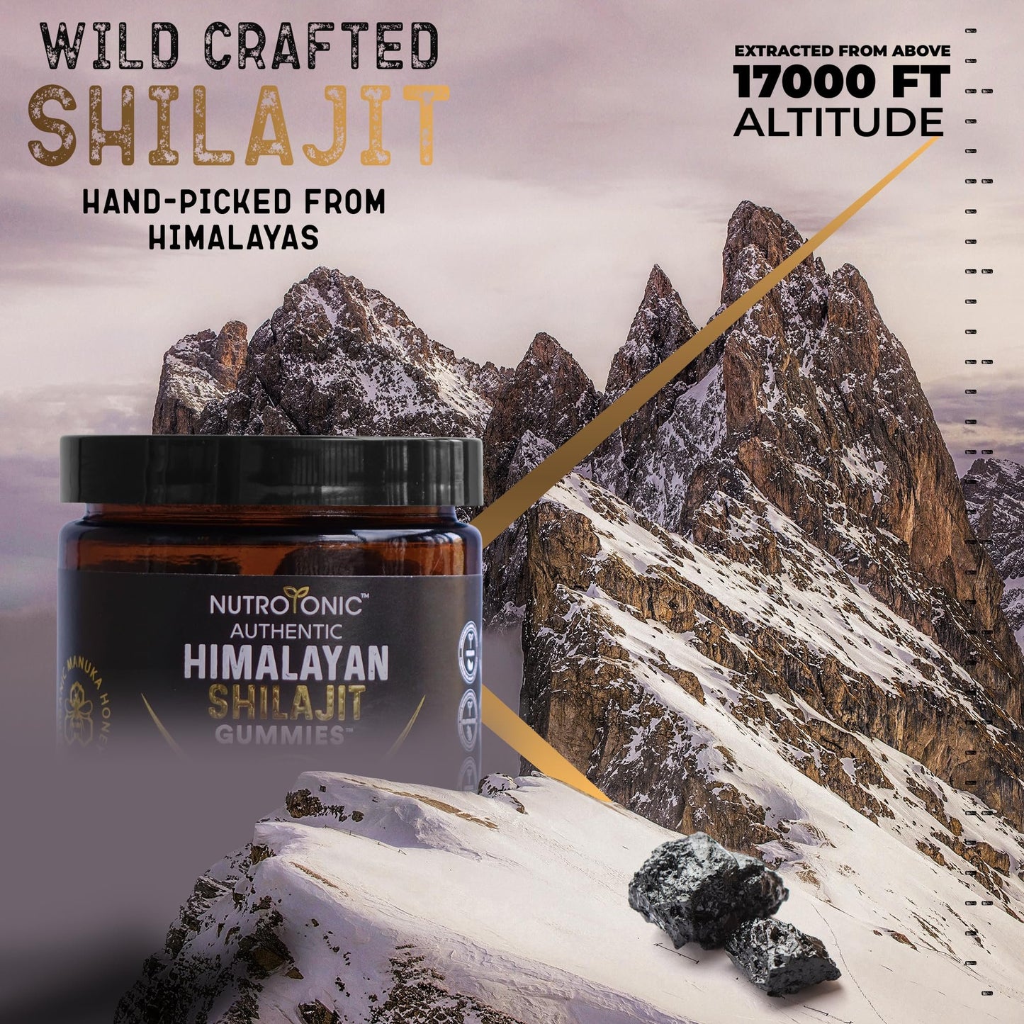 Authentic Shilajit Gummies