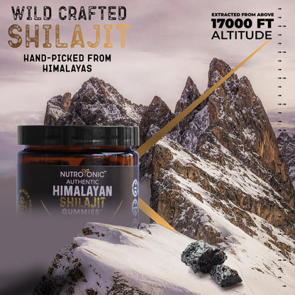 Authentic Shilajit Gummies