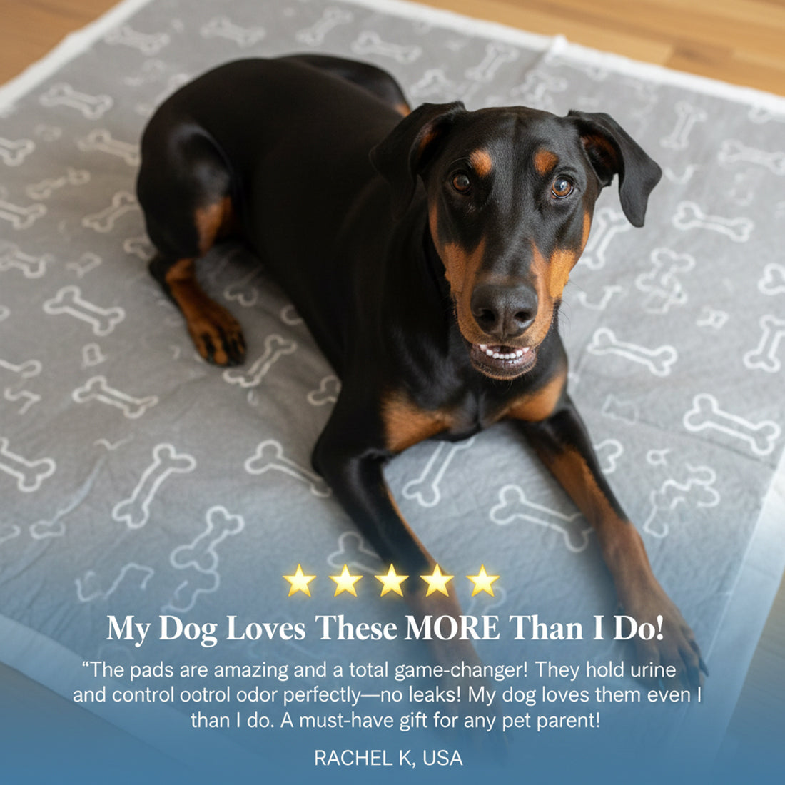 🔥Hot Sale 50% OFF🔥 Pet Training Pads
