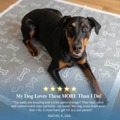 🔥Hot Sale 50% OFF🔥 Pet Training Pads