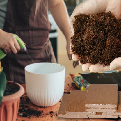 🌱2025 New Arrival - Organic Coconut Fiber Soil for Plants