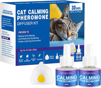 Cat Design（US）