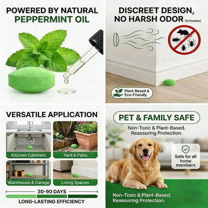 🔥HOT SALE 49% OFF🔥-10- Pack Popular Natural Rodent Repellent Balls