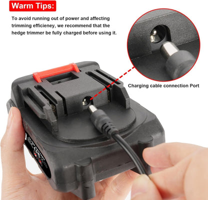 2-in-1 Cordless Grass Shears & Hedge Trimmer