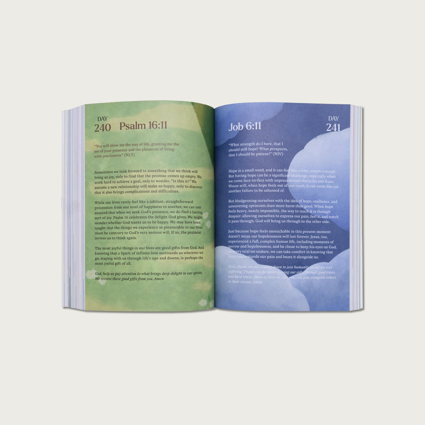 A Beautiful Year with Jesus: The 365 Day Bible Devotional