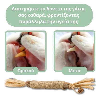 🔥HOT SALE 49% OFF🔥Cat Teething Stick  Catnip Chew Toy  Dental Care Bell