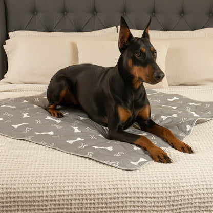 🔥Hot Sale 50% OFF🔥 Pet Training Pads
