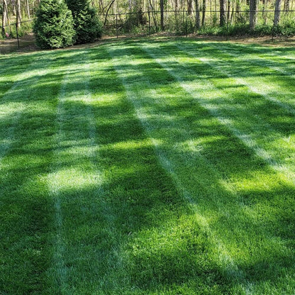 🔥Hot sale 49% off🔥 🌱 2026 Four Seasons Evergreen Grass | Durable, Vibrant Green All Year