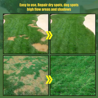 🔥Hot sale 49% off🔥 🌱 2026 Four Seasons Evergreen Grass | Durable, Vibrant Green All Year