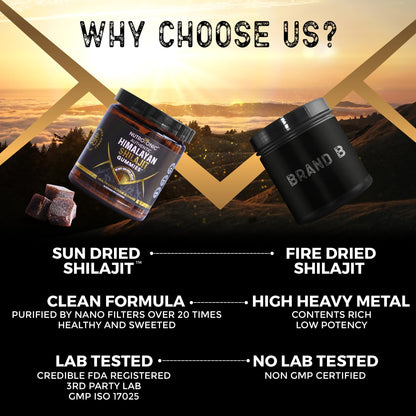 Authentic Shilajit Gummies