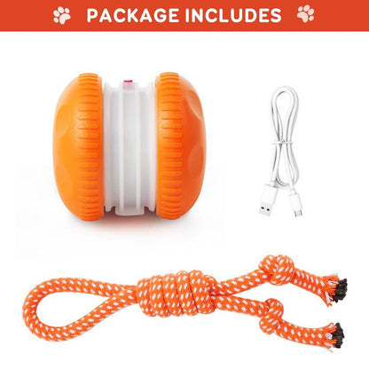 🐶The YOBENSUN™ – Keep Your Pet Relaxed, Happy & Content 🐾