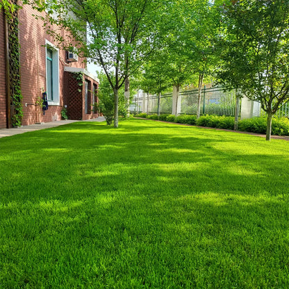 🔥Hot sale 49% off🔥 🌱 2026 Four Seasons Evergreen Grass | Durable, Vibrant Green All Year